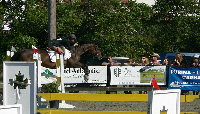 Compare life insurance policies from leading providers