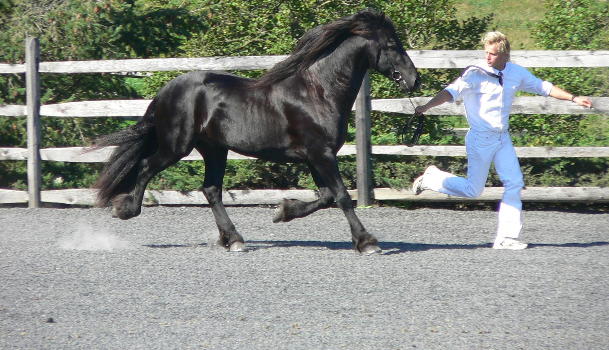 Compare life insurance policies from leading providers