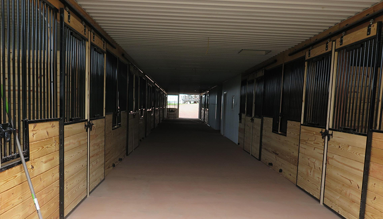 Compare life insurance policies from leading providers